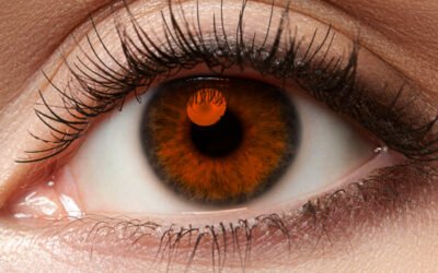 Beter resultaat door meer inzicht