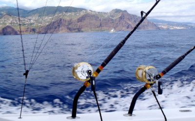 Het belang van moderne leadgeneratie voor B2B