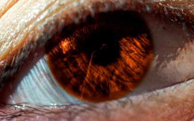 Geef jouw salesactiviteiten een update met deze feiten